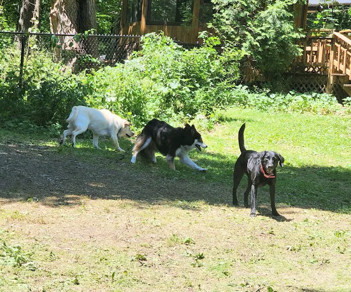 Spirit of Love Pet Care Picture 5