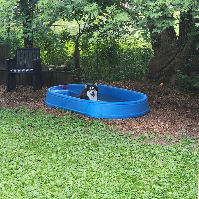 Spirit of Love Pet Care Picture 2
