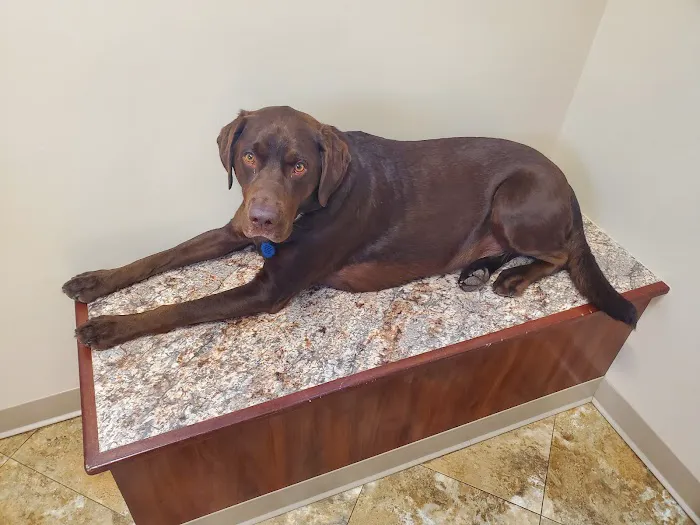 Fenton River Veterinary Hospital- Stafford CT Picture 10