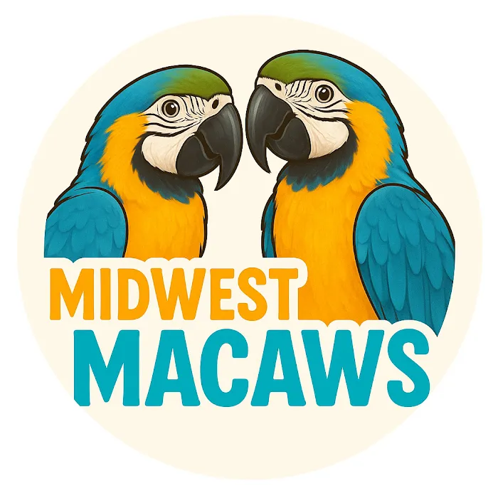 Midwest Macaws Picture 3