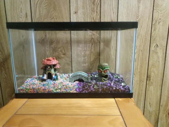 Petco Picture 5