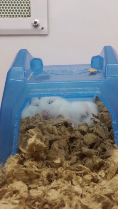 Petco Picture 10