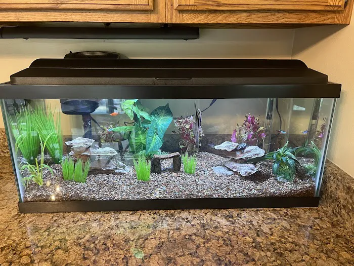 Petco Picture 6