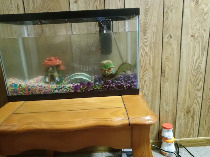 Petco Picture 8