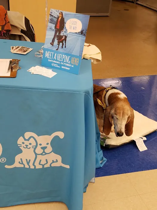 Petco Picture 9