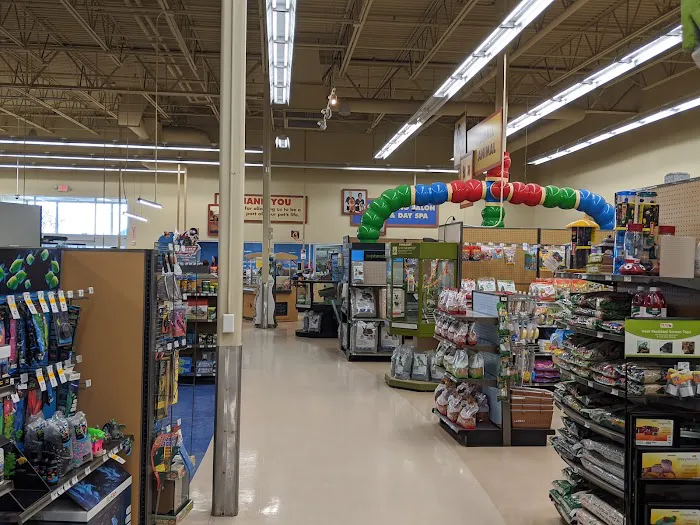 Petco Picture 4