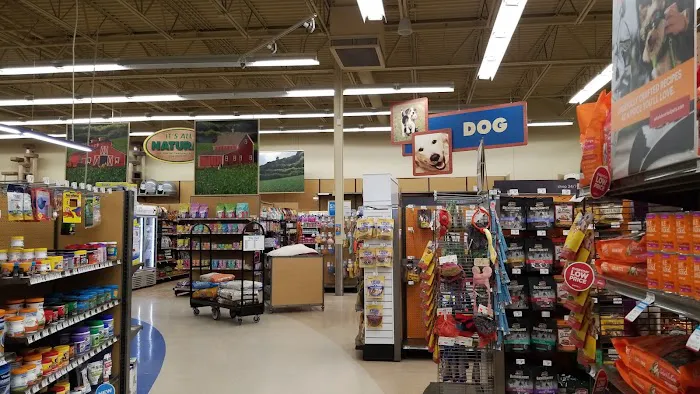 Petco Picture 2