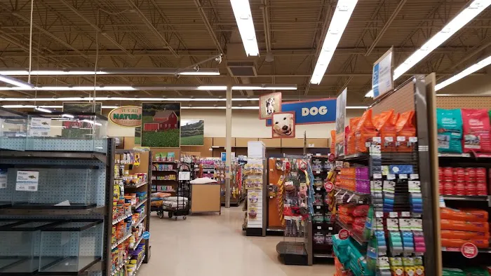 Petco Picture 3