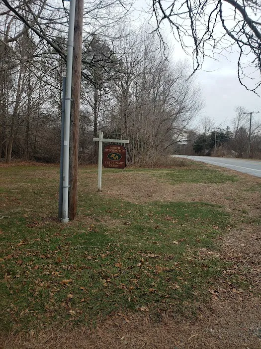 North Stonington Veterinary Pc Picture 5
