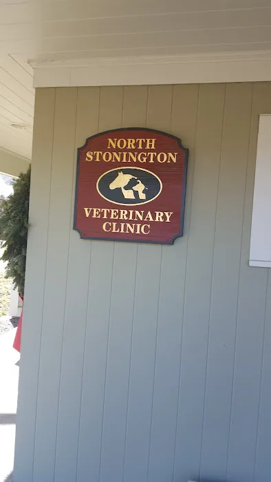 North Stonington Veterinary Pc Picture 3