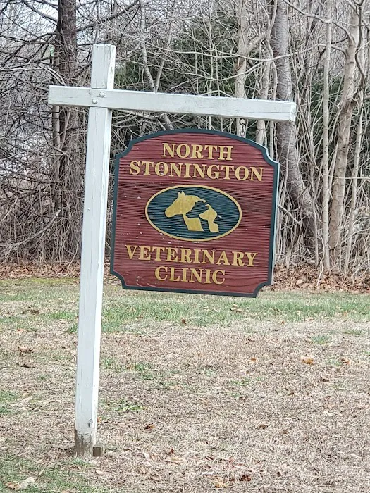 North Stonington Veterinary Pc Picture 10