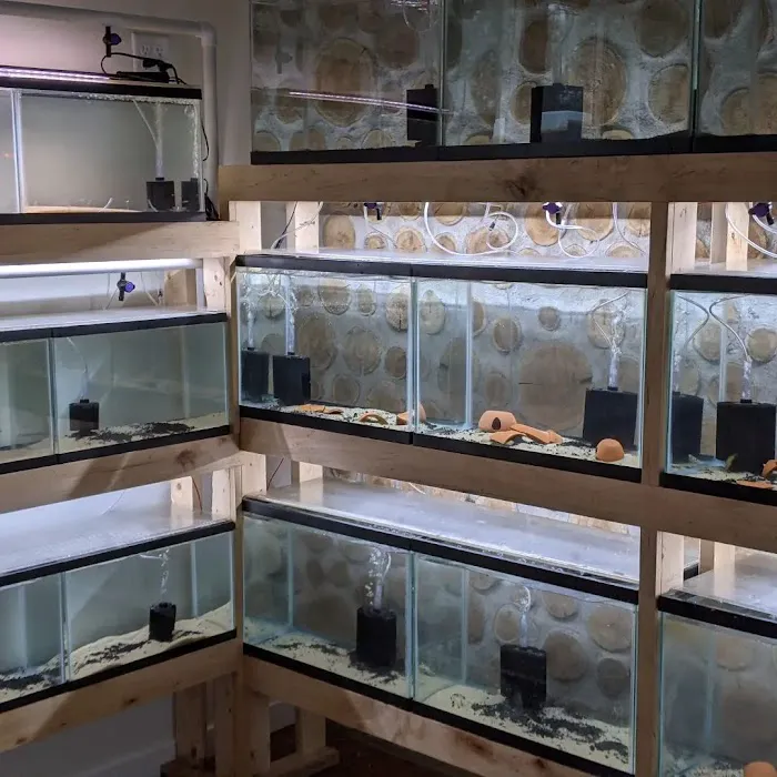 Tristan's Tropical Fish LLC Picture 4