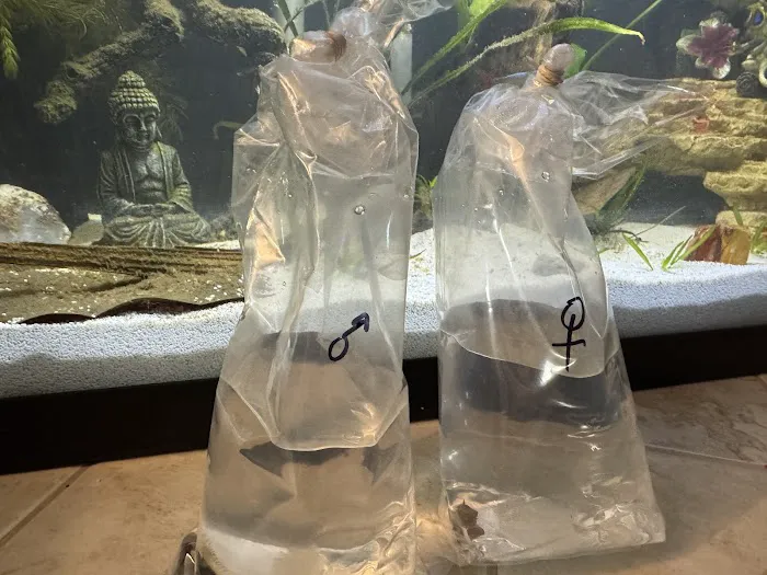 Tristan's Tropical Fish LLC Picture 2