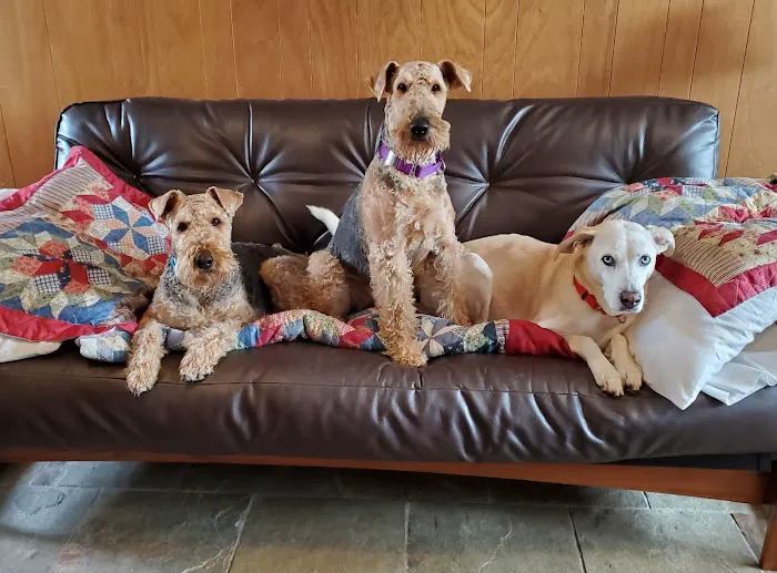 Stonington Veterinary Hospital Picture 9