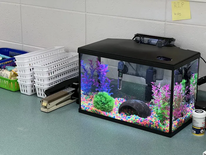 Red Fish Blue Fish Aquatics Picture 2