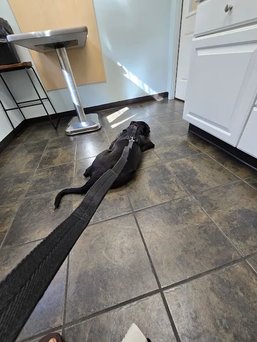 VCA Plainfield Animal Hospital Picture 7