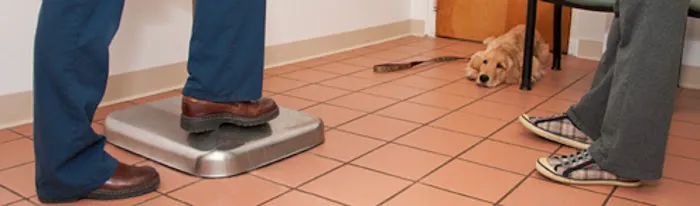VCA Plainfield Animal Hospital Picture 1