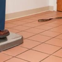 VCA Plainfield Animal Hospital ico