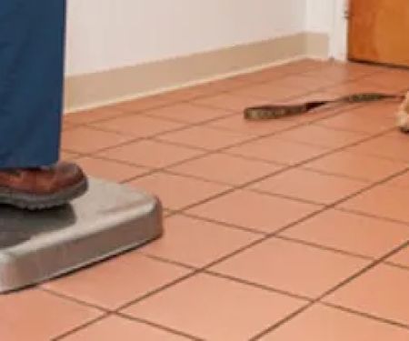 VCA Plainfield Animal Hospital