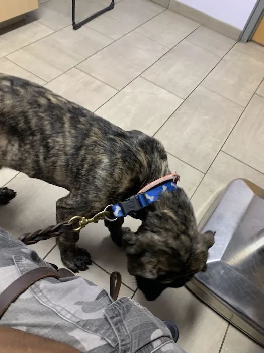 VCA Plainfield Animal Hospital Picture 9