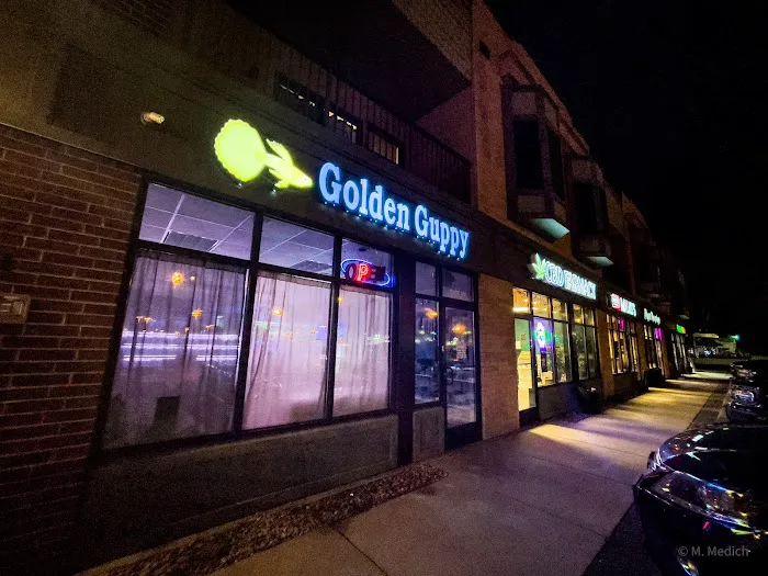 The Golden Guppy Picture 1