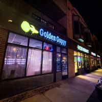 The Golden Guppy ico