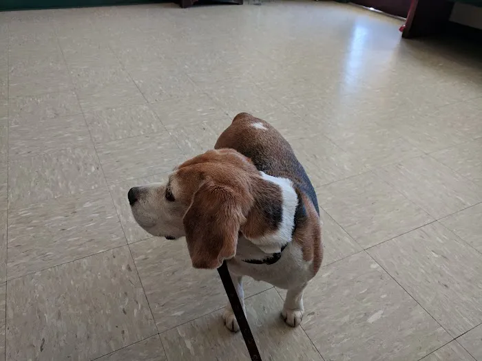 Pawcatuck Veterinary Clinic Picture 5