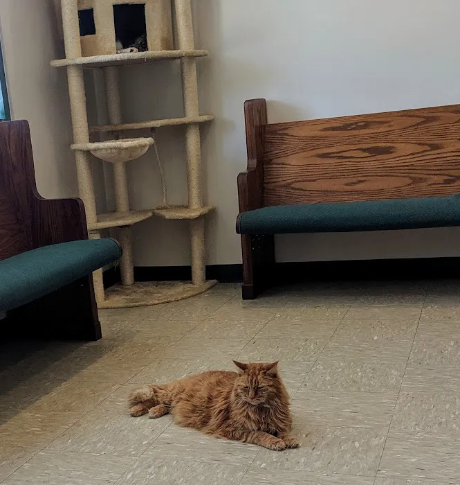 Pawcatuck Veterinary Clinic Picture 9