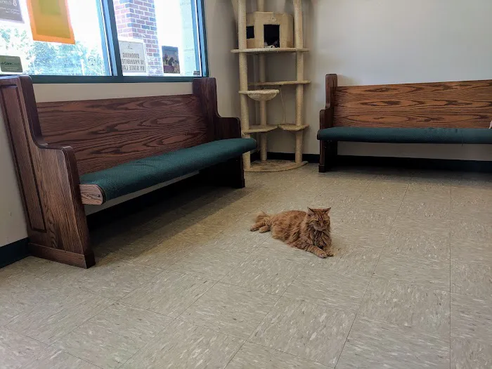 Pawcatuck Veterinary Clinic Picture 7