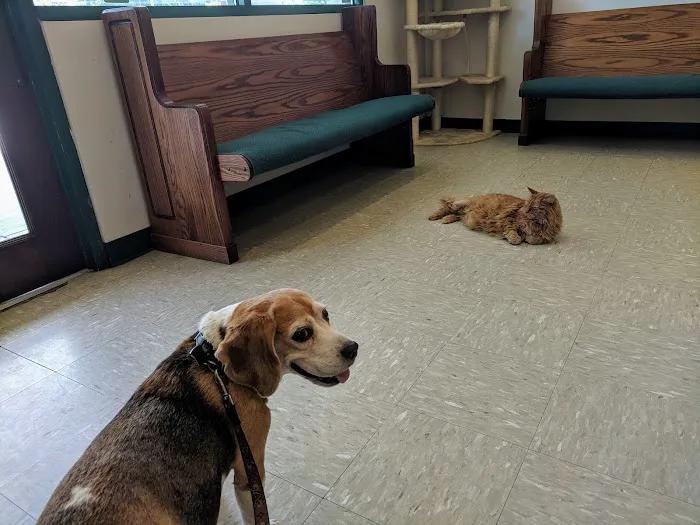 Pawcatuck Veterinary Clinic Picture 6