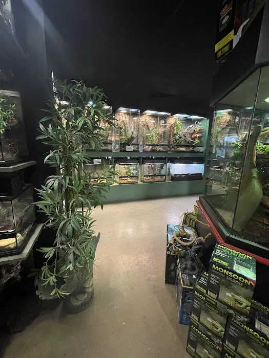 Reptile Rapture Picture 9