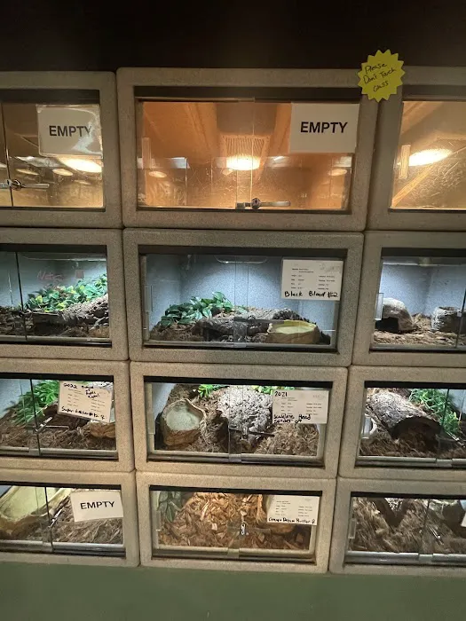 Reptile Rapture Picture 10