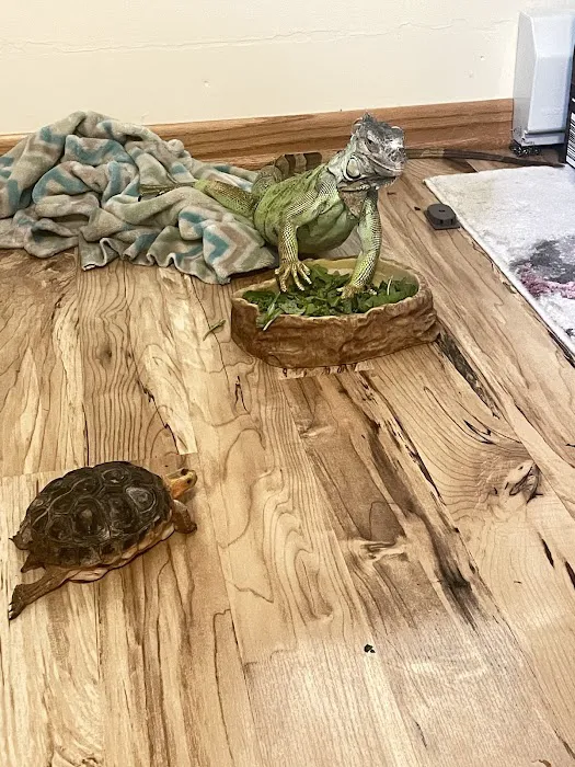 Reptile Rapture Picture 6