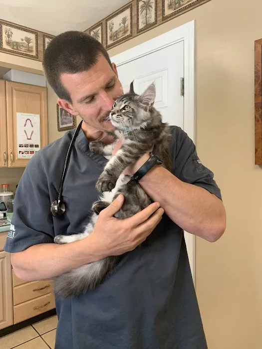 Westerly Animal Hospital Picture 2
