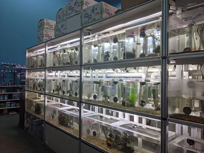 Animart Pet Store Picture 4