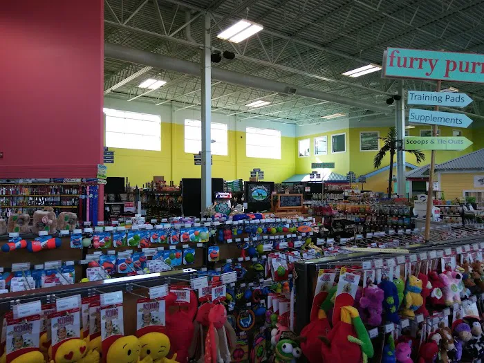 Animart Pet Store Picture 7