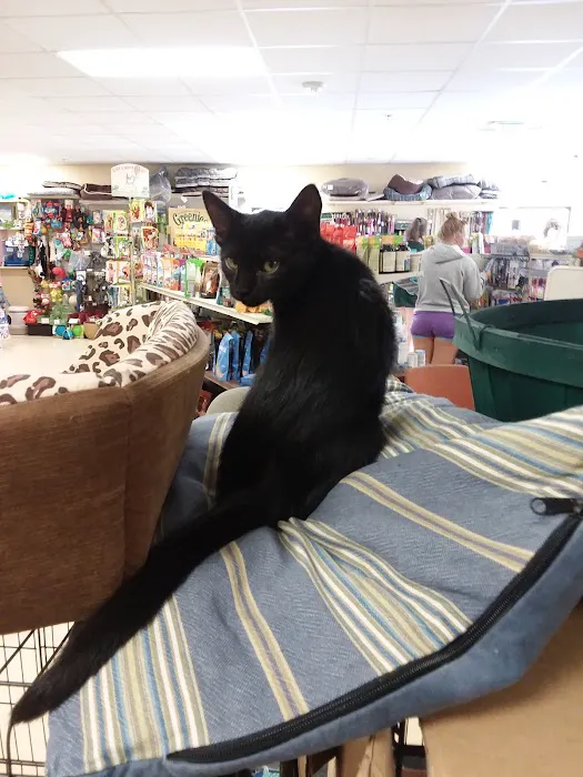 Noah's Ark Pet Center Picture 3