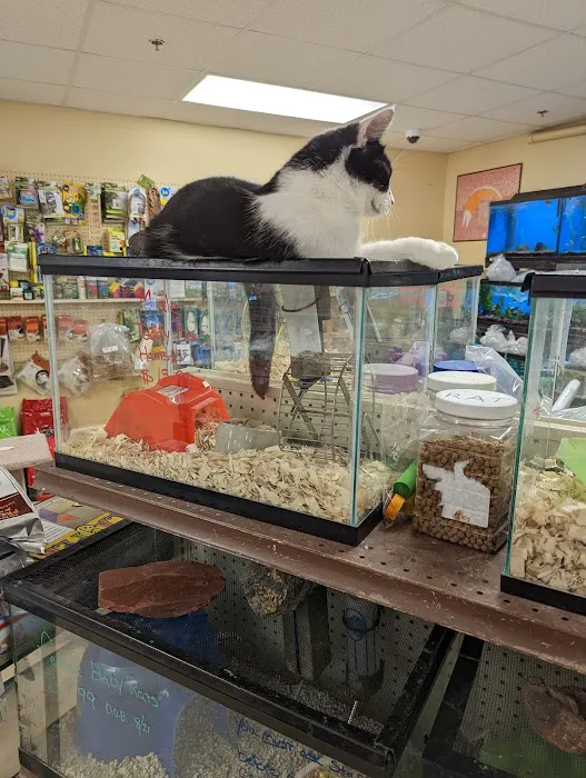 Noah's Ark Pet Center Picture 2