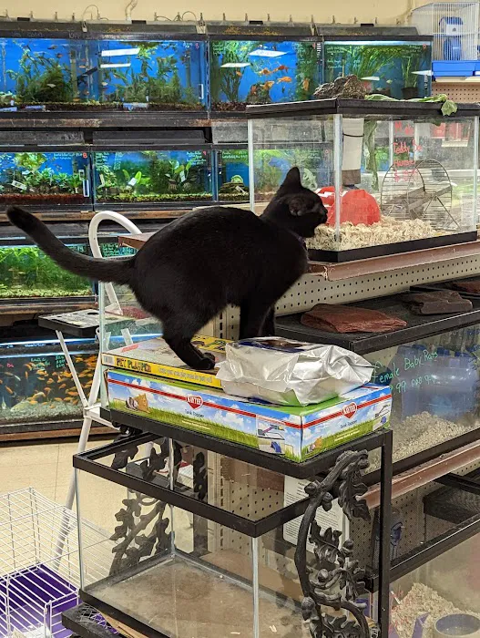 Noah's Ark Pet Center Picture 5