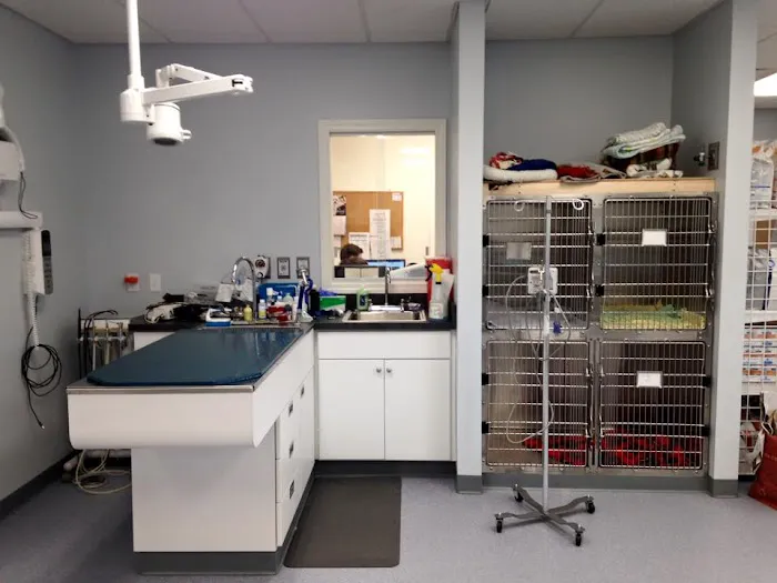 Hampden Veterinary Clinic Picture 9