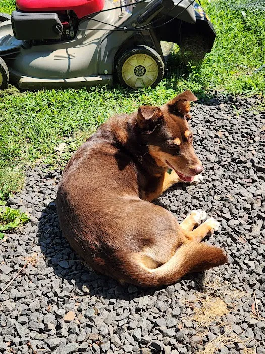 Hampden Veterinary Clinic Picture 4