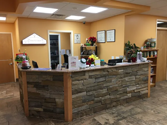 Hampden Veterinary Clinic Picture 8
