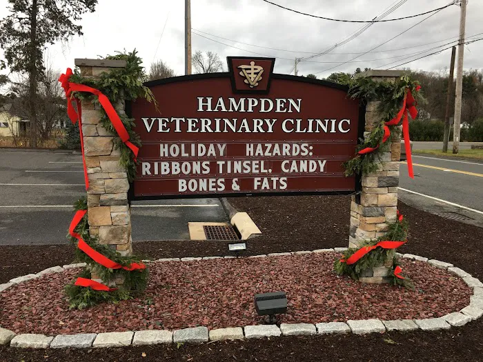 Hampden Veterinary Clinic Picture 10