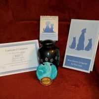 Eastfield Hospital For Animals: Hughes Barbara DVM ico