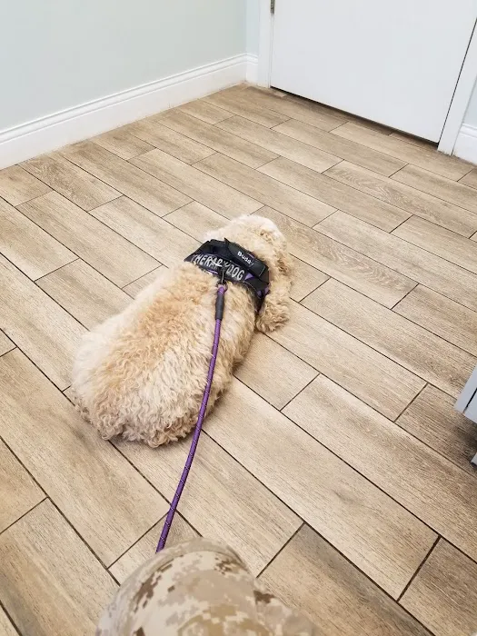 Wilbraham Animal Hospital Picture 4