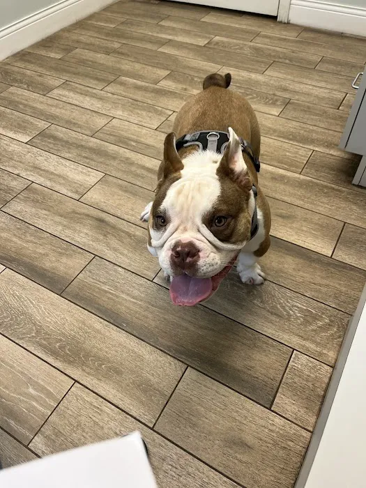 Wilbraham Animal Hospital Picture 7