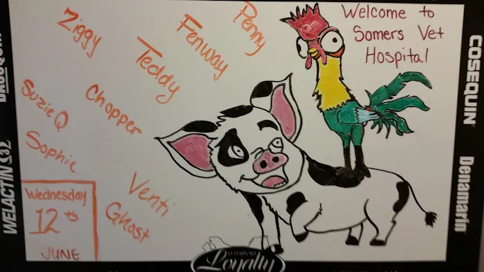 Somers Veterinary Hospital Picture 1
