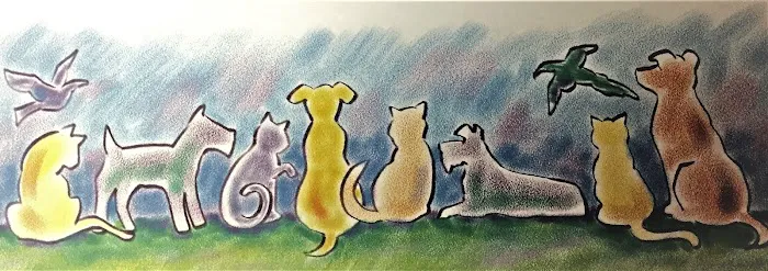Somers Veterinary Hospital Picture 6