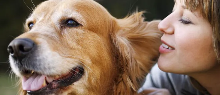 South Paw Animal Care Picture 8