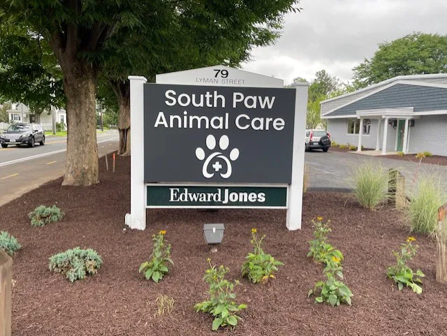 South Paw Animal Care Picture 9